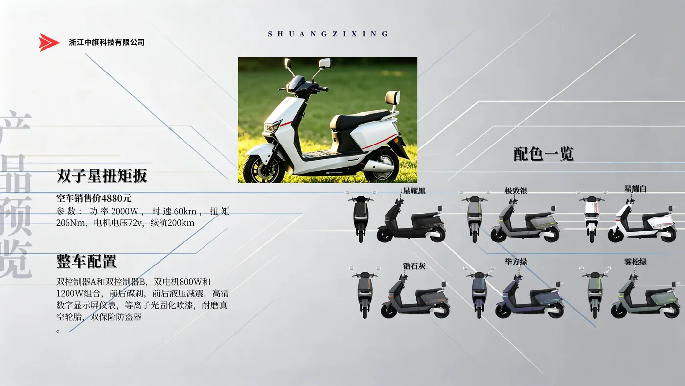 双子星扭矩版电动车